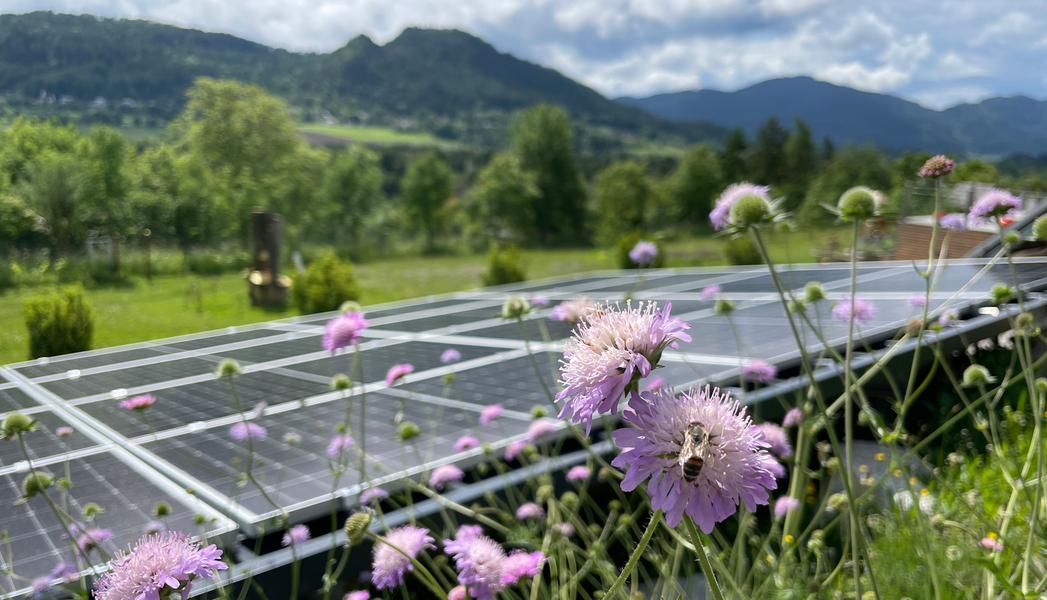Die Sonne macht den Strom